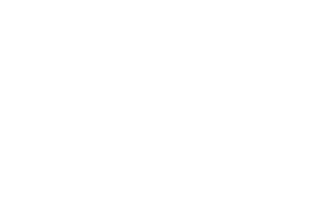 ADA 2027 TOOTH LOCKUP WHITE icon